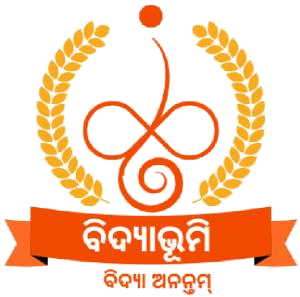 Bidyabhoomi International School